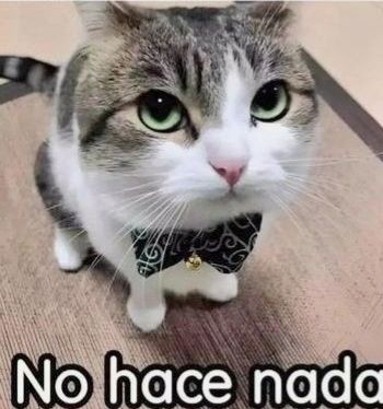 Alamo Kib' tweet media