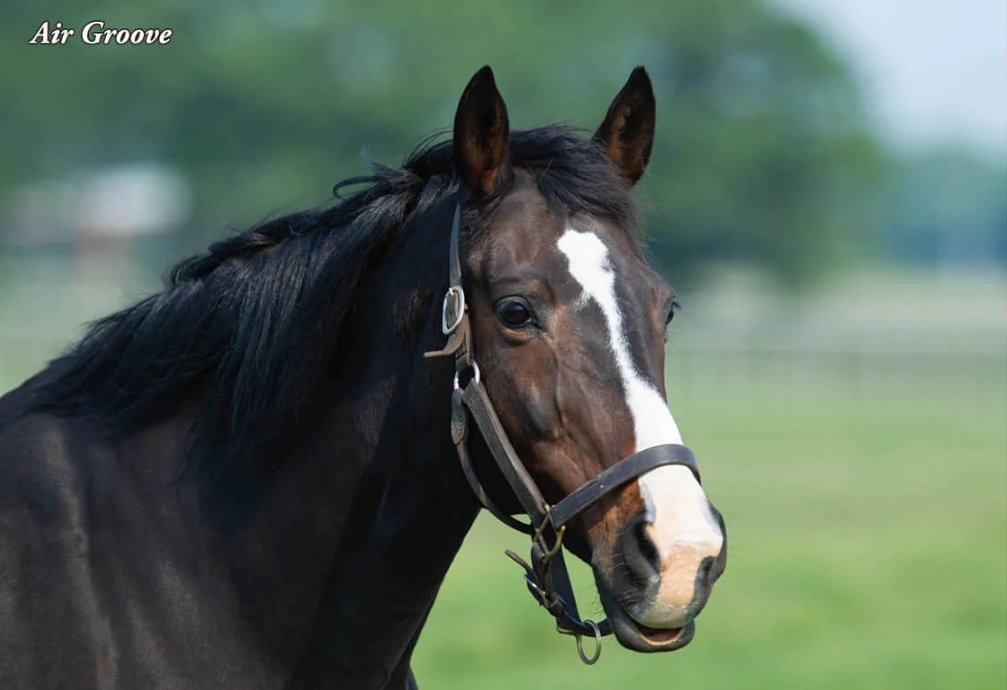 🟡DiamnoD⚫ tweet media