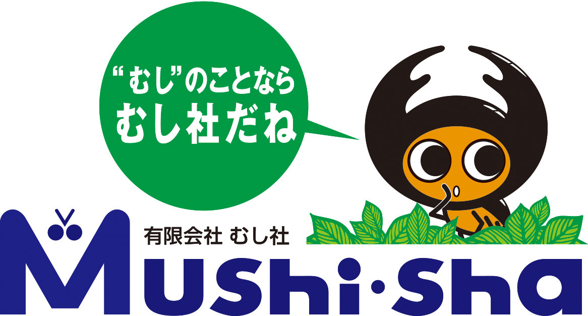 むし社 tweet media