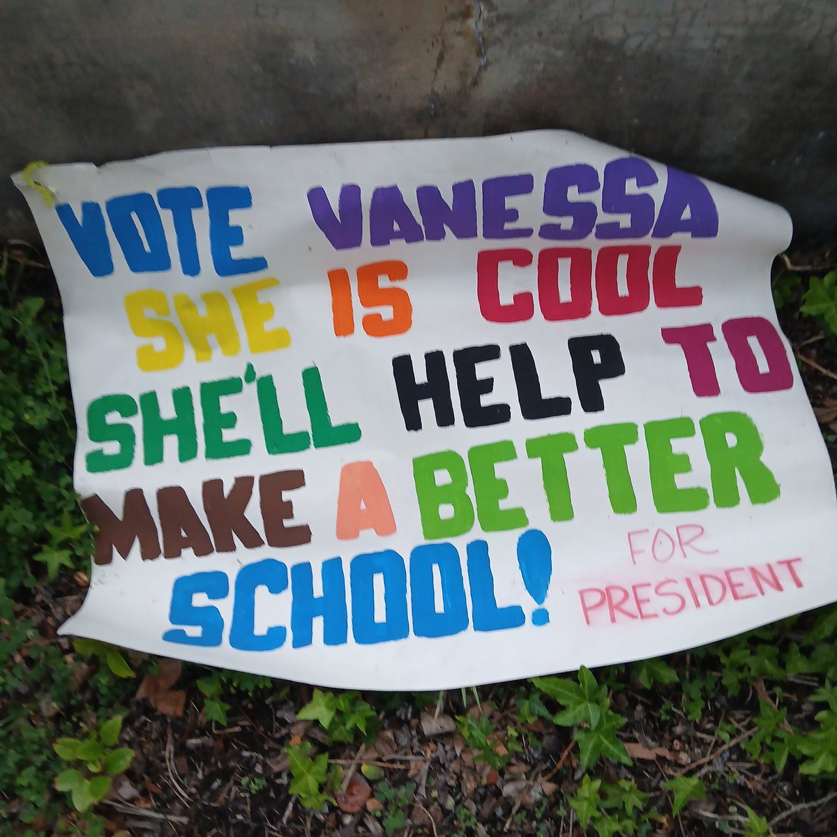 Found on the ground on my walk.