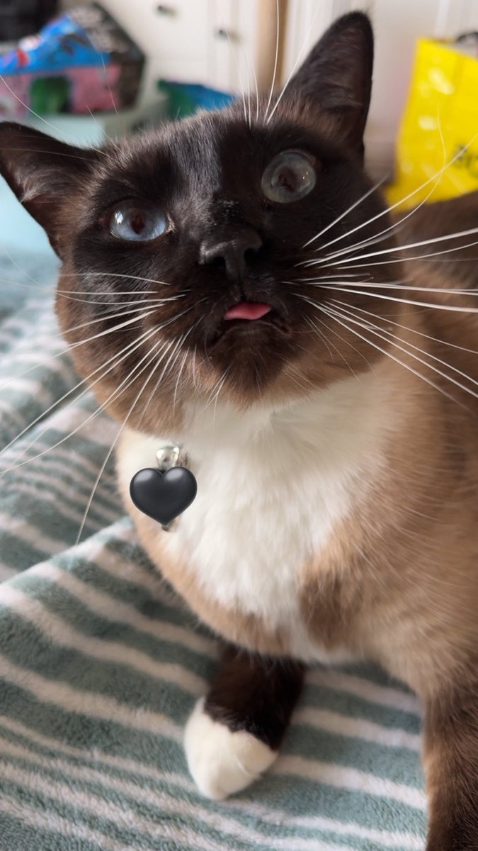 Amy 🐋 tweet media