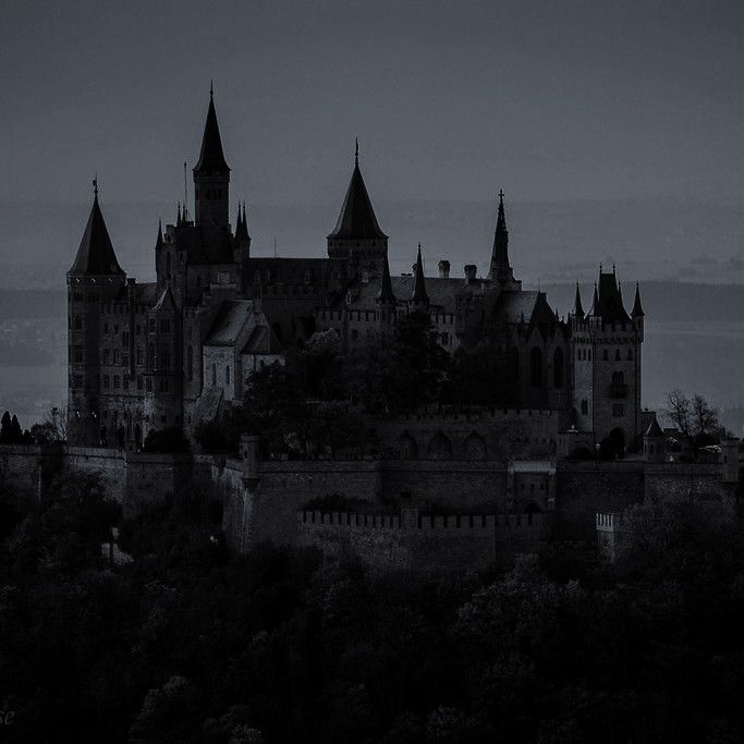 pelle of mdpshedtwt ⛧°. ⋆༺♱༻⋆. °⛧ tweet media