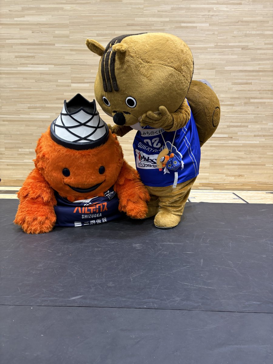 ベルティ(ベルテックス静岡)【公式】 tweet media