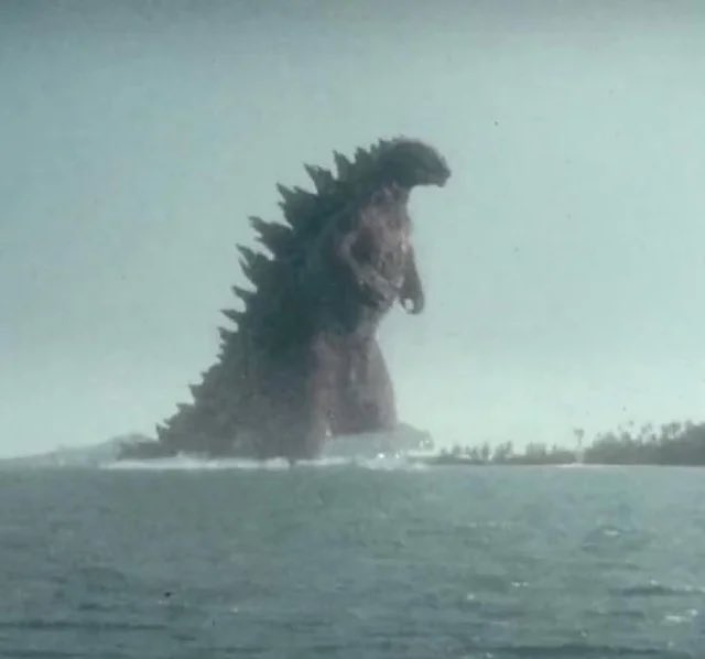 Steve 🇺🇸 tweet media