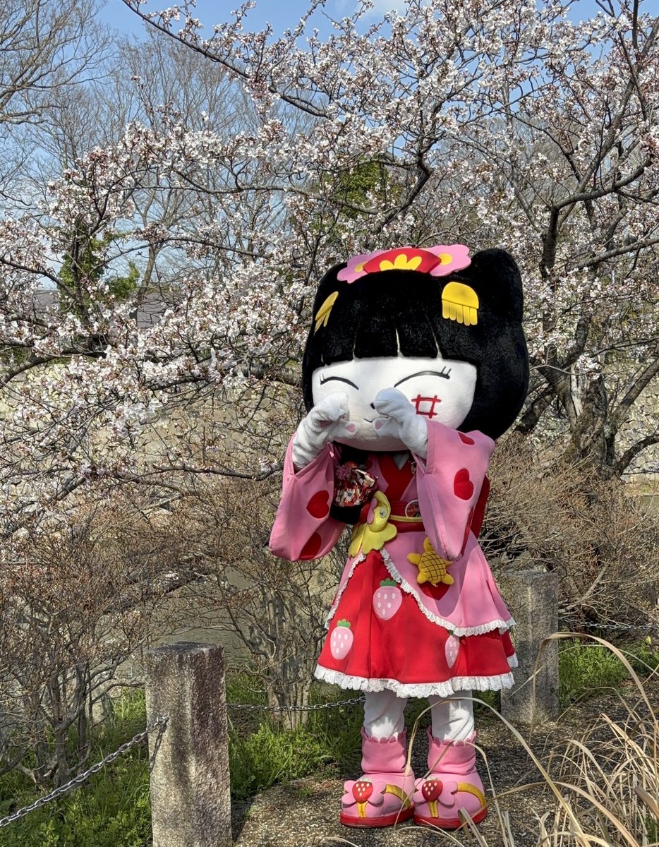 やちにゃん@ひこらぼ tweet media