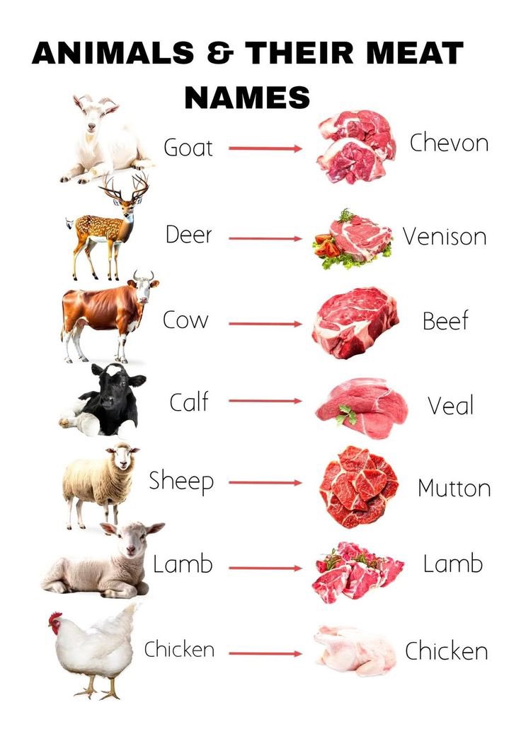 English speaking classes tweet media