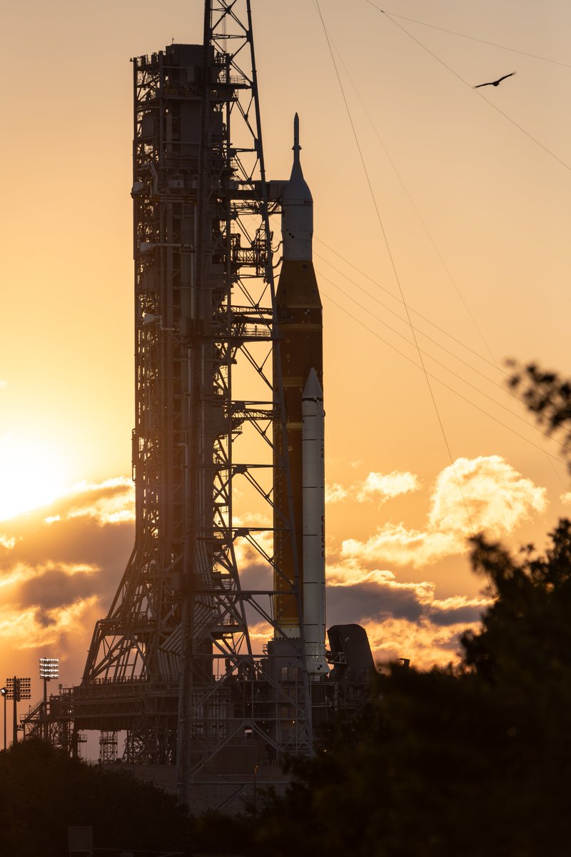 Sean Cannon tweet media