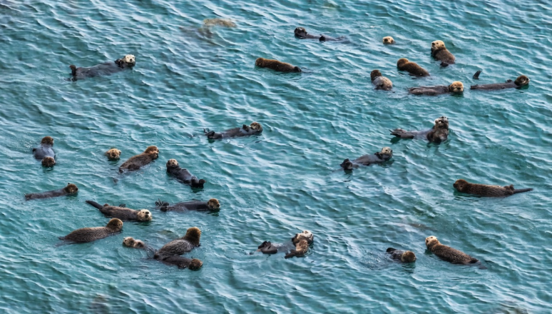 温根湯温泉の人♨️ tweet media