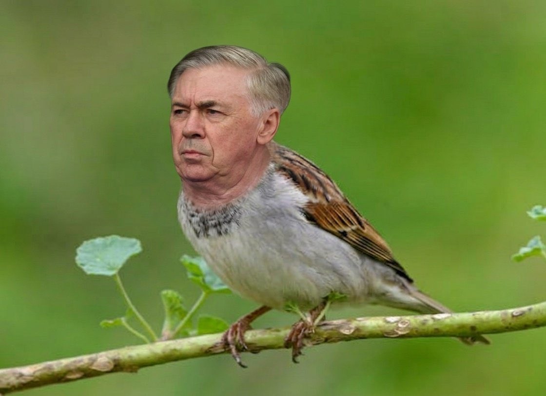 out of context brasileirão tweet media