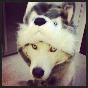 cheams 🥯🔥 tweet media