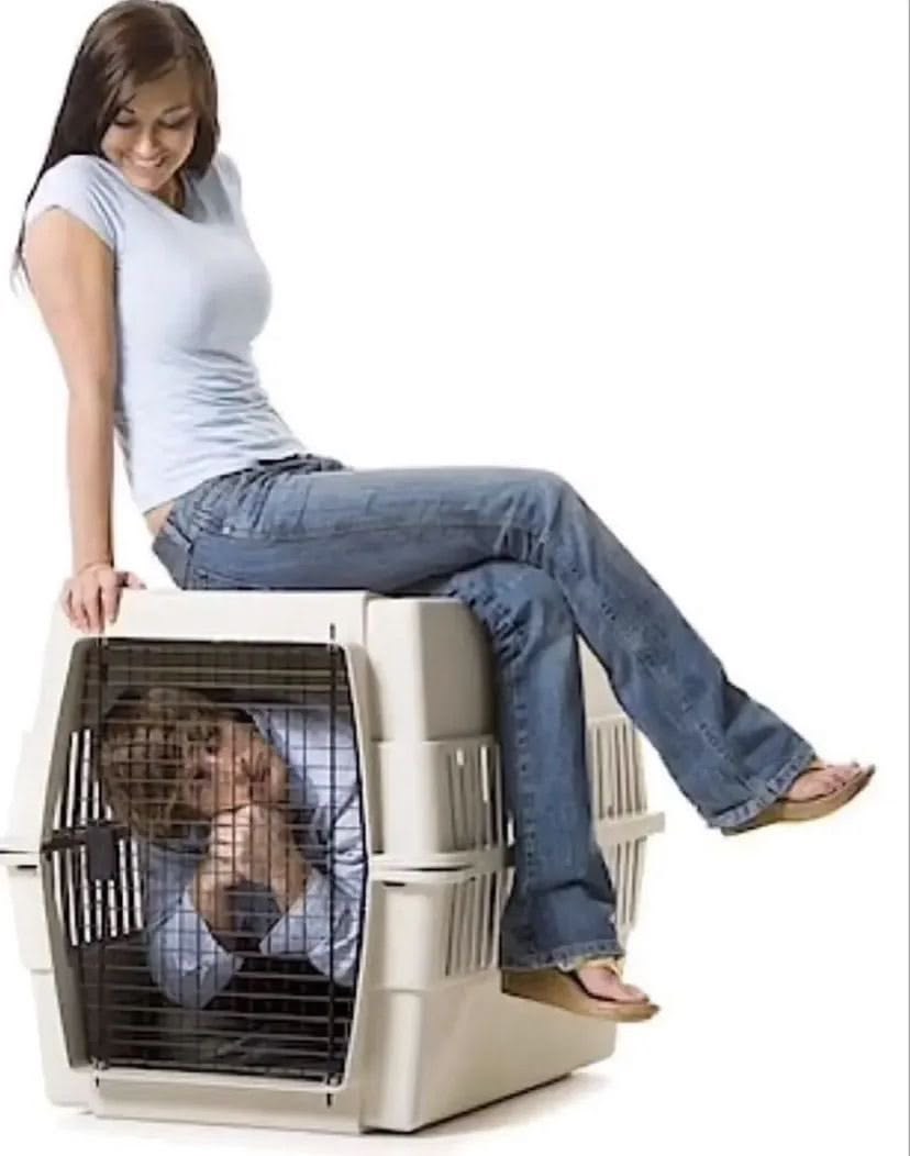 Lost_Scrolls tweet media