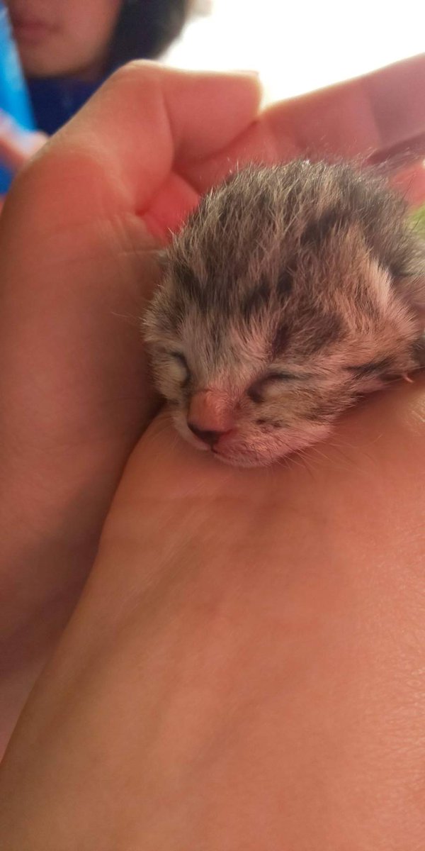 かんちゃん tweet media