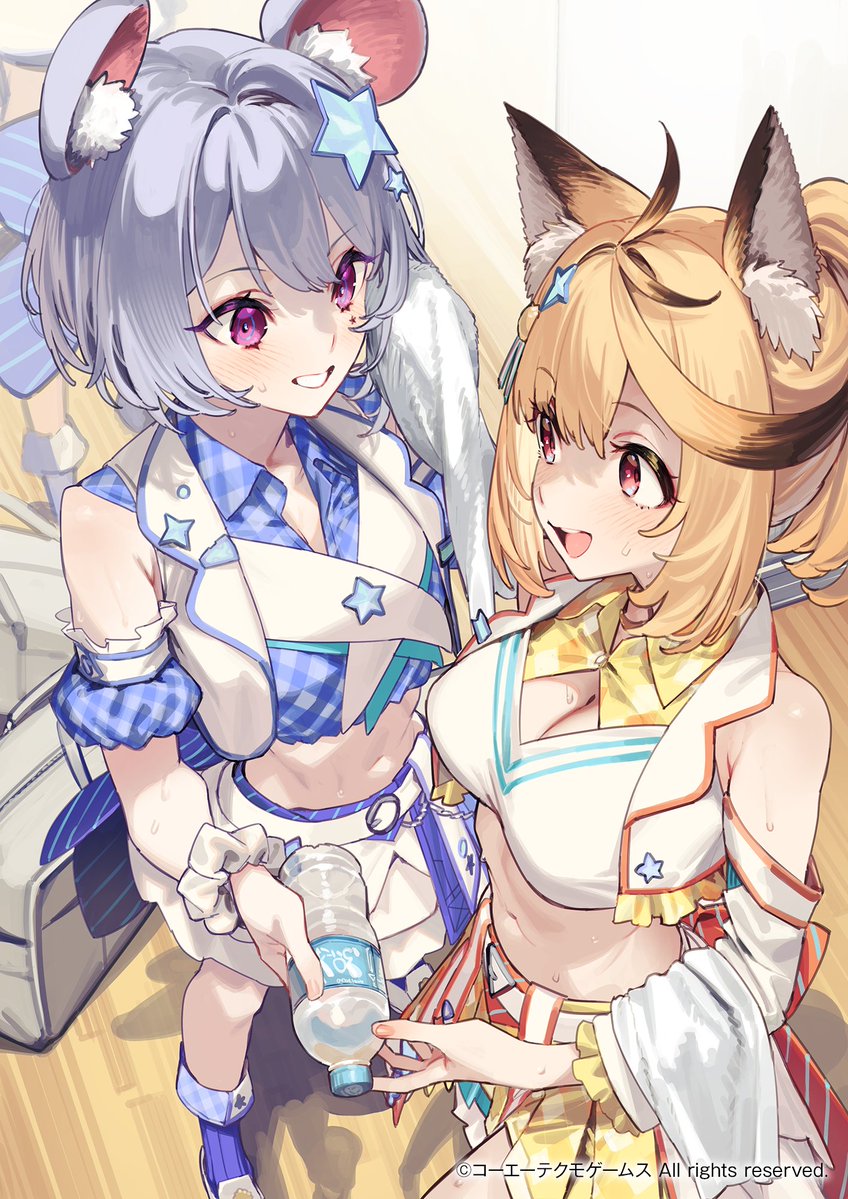 レスレリアーナのアトリエ tweet media