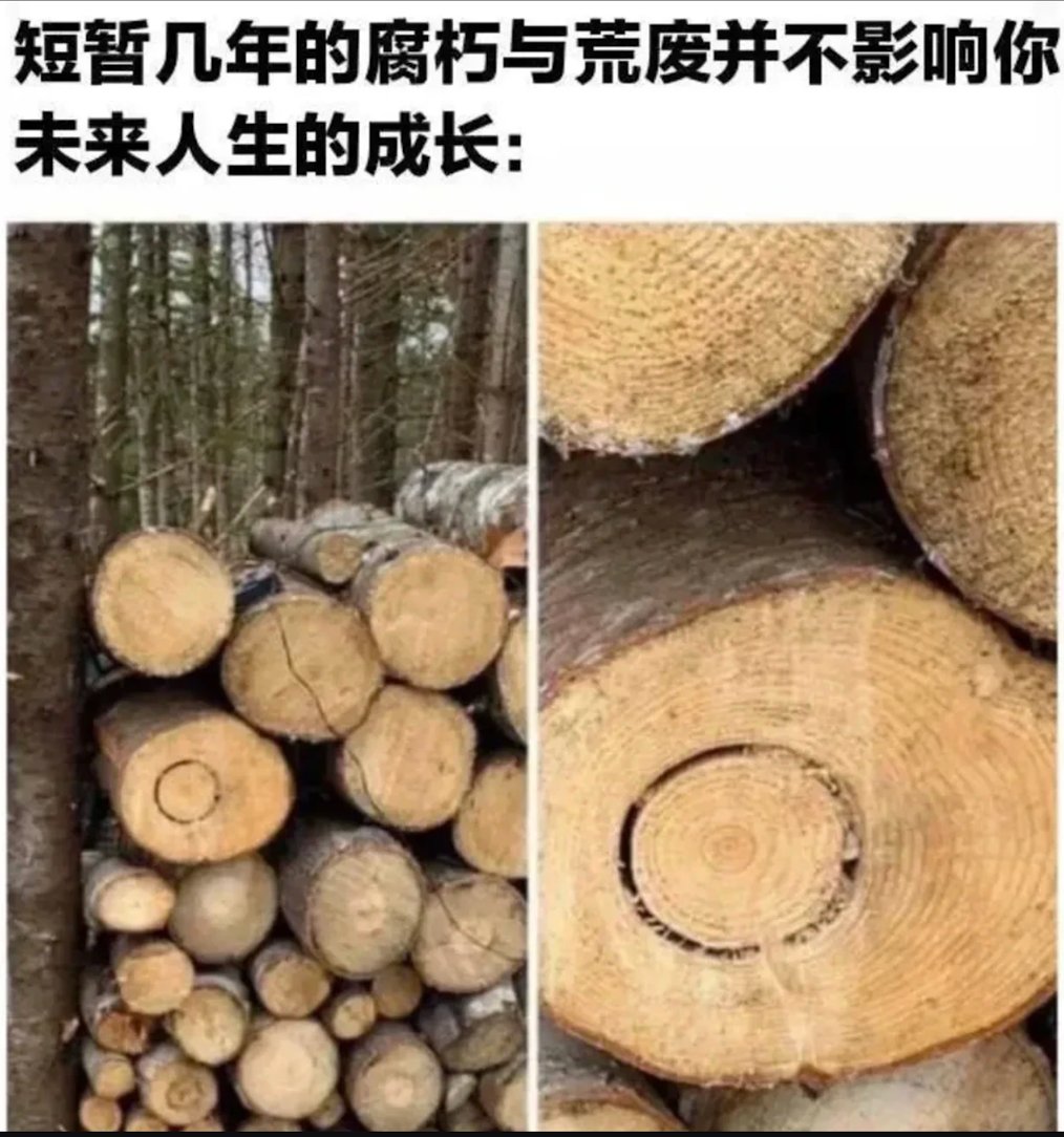 星野ふじ tweet media