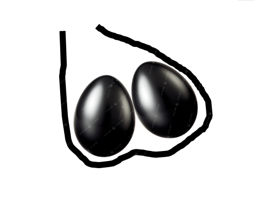 مويس بن حكم tweet media