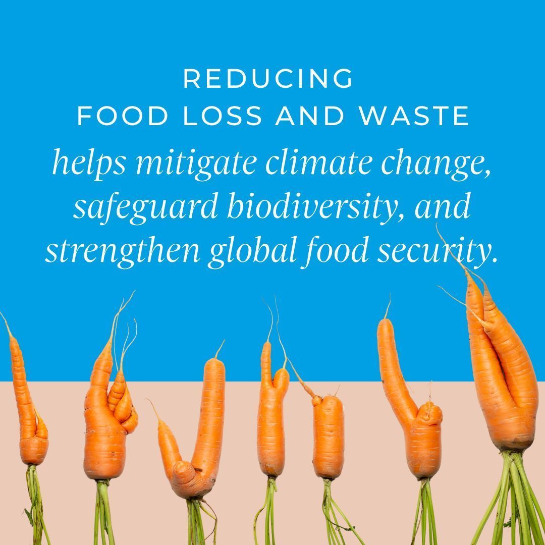 UNGeneva's tweet image. Humanity produces 2.1 to 2.3 billion tons of waste annually, posing a significant threat to human well-being, economic prosperity, nature, biodiversity and pollution. 

It is time to rethink how we grow, share and consume our food! 

buff.ly/EmG5mQv 
#ZeroWaste