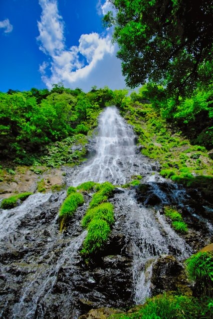 DIIIGのデジタルマップ┊オリジナルの地図が作れるツール tweet media