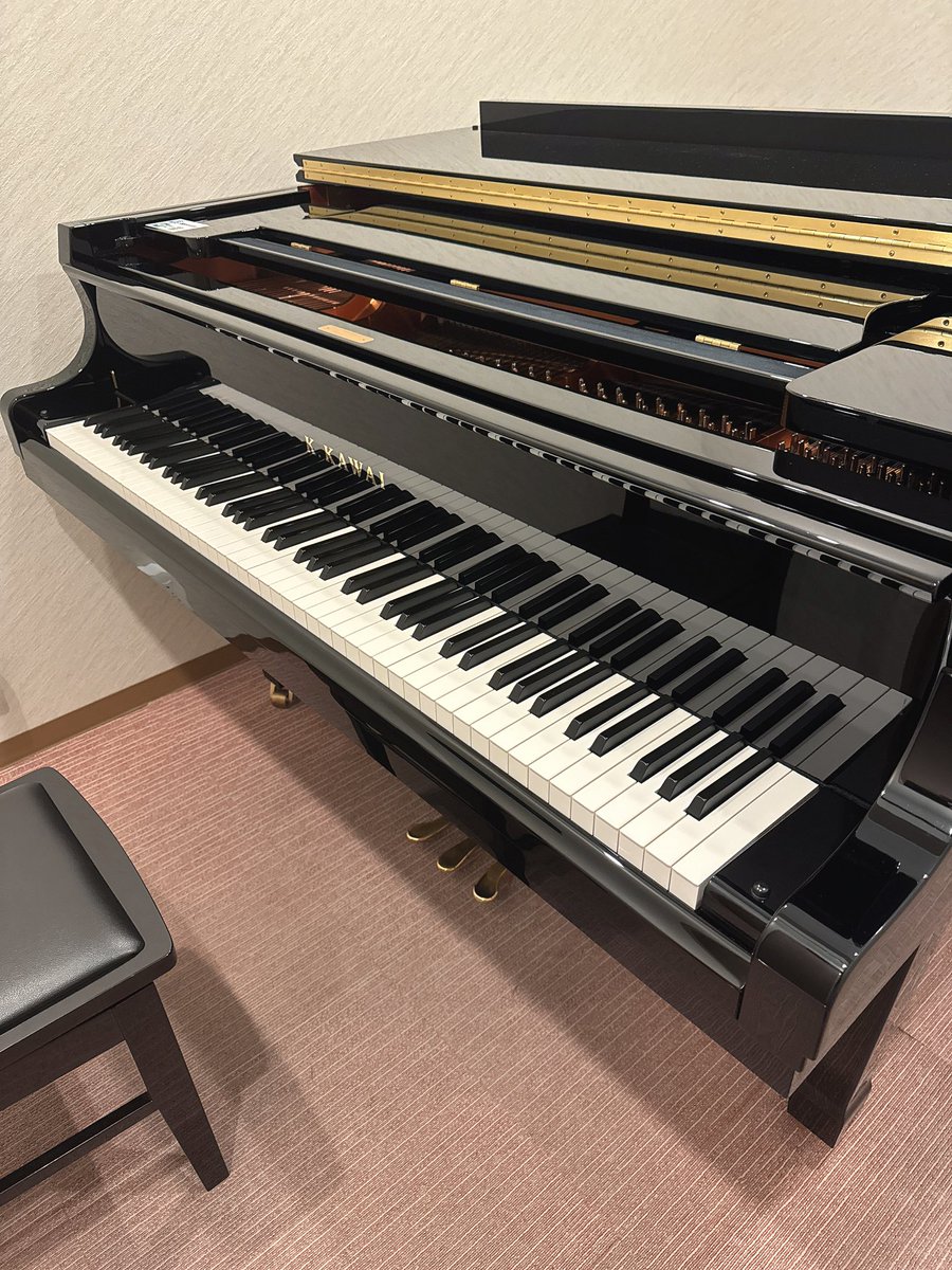 いせさえ🐢フルート&ピアノ🪈🎹 tweet media