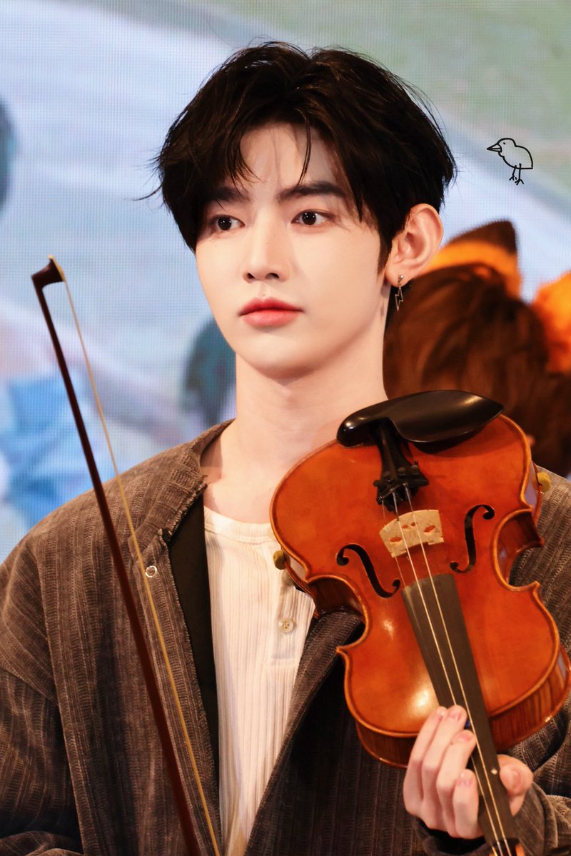 llt🐤🐣🐥 tweet media