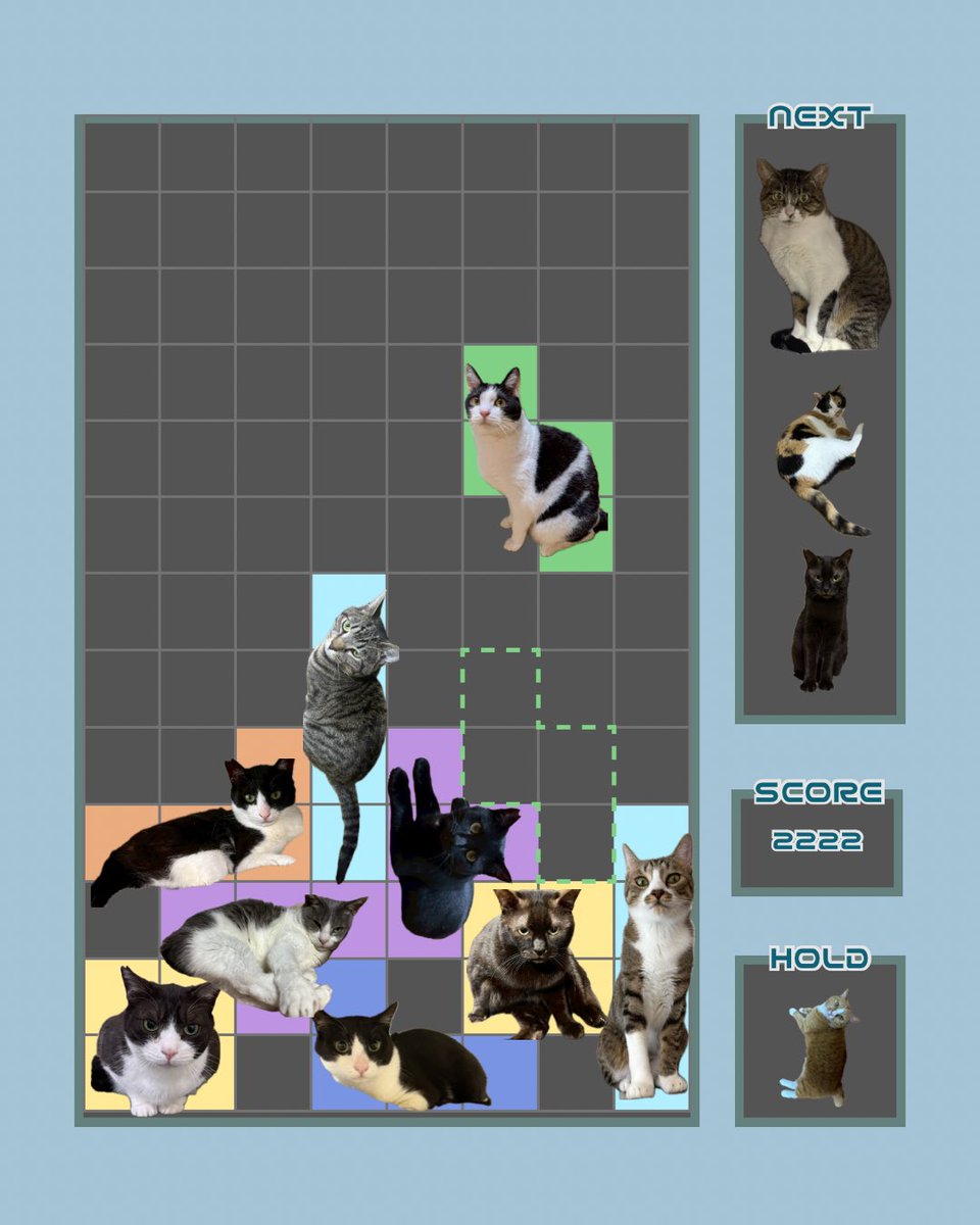 ミヤネコ(宇都宮大学保護猫サークル) tweet media