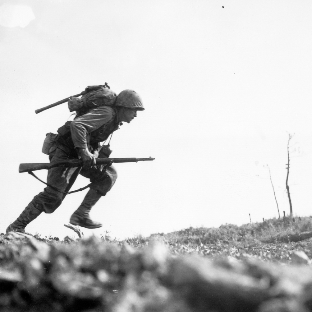 HigherVets tweet media