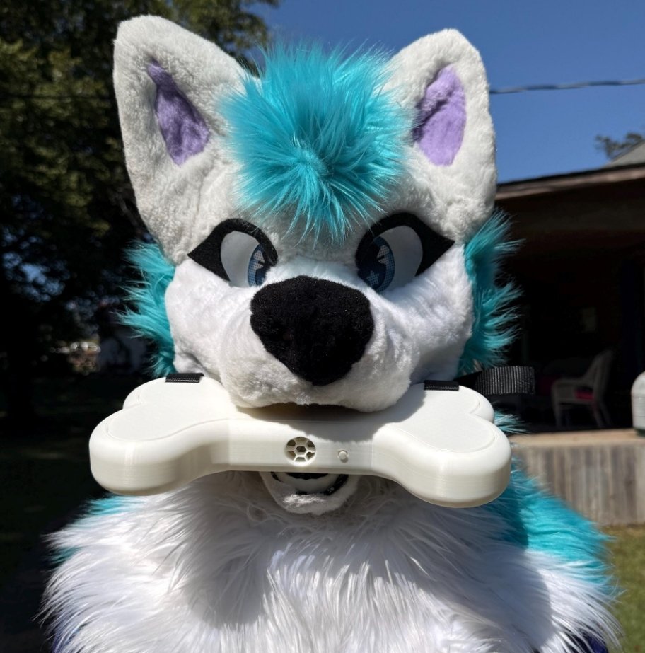 BirdsWithScales tweet media