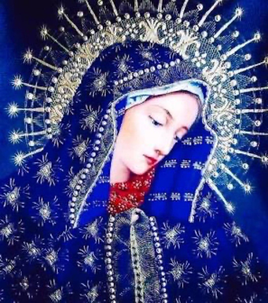 Bree Solstad tweet media