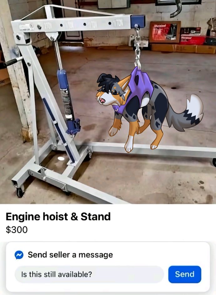 No lowballs, I know what I've got
Drawover done by <a href="/StardustFoxArt/">Jack / Comet 🔜 FCL</a>