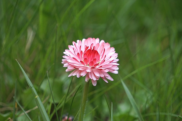 Dylan Davis tweet media