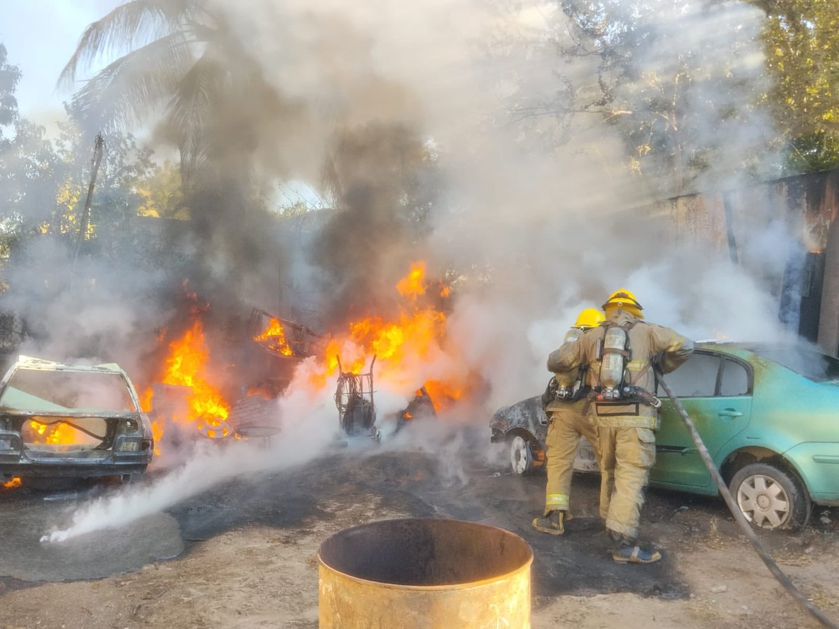 AFmedios tweet media