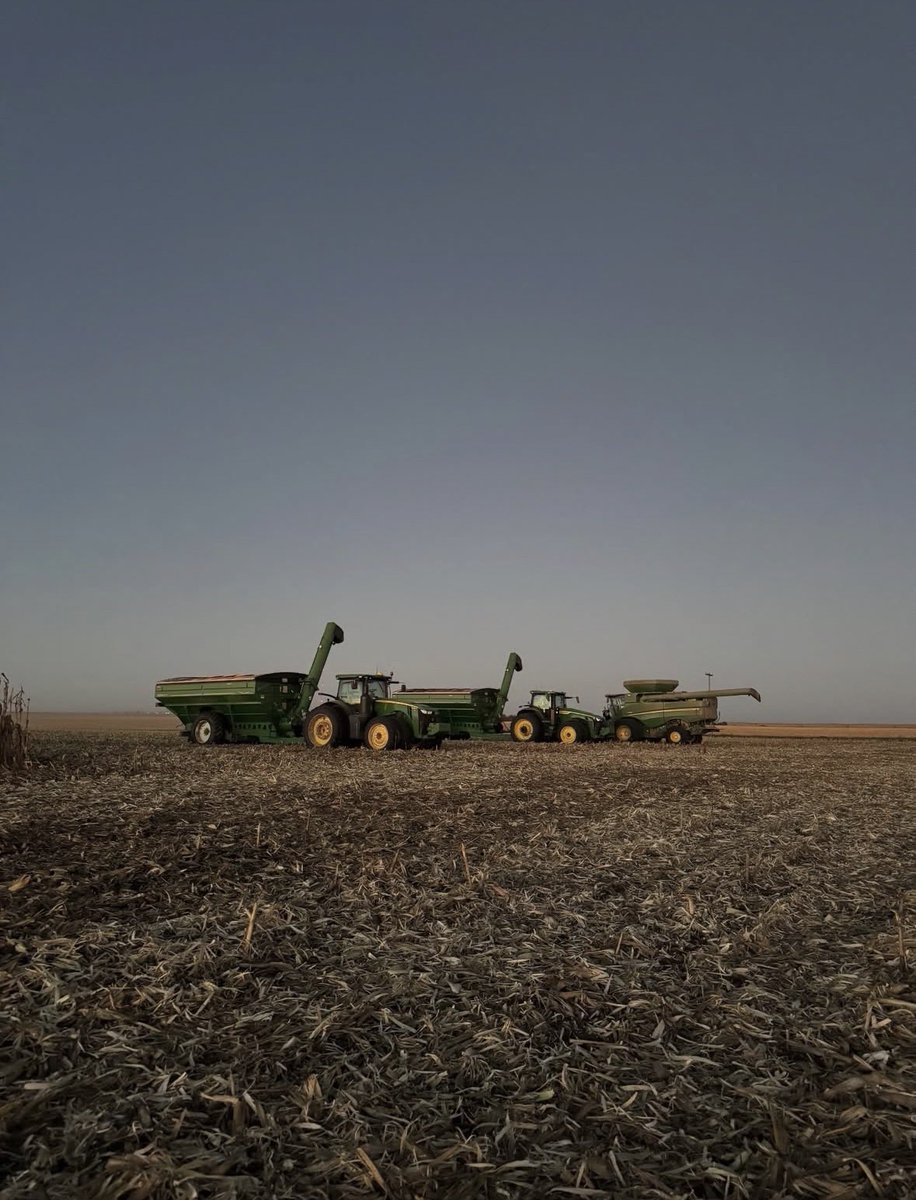 Laura Wilson tweet media