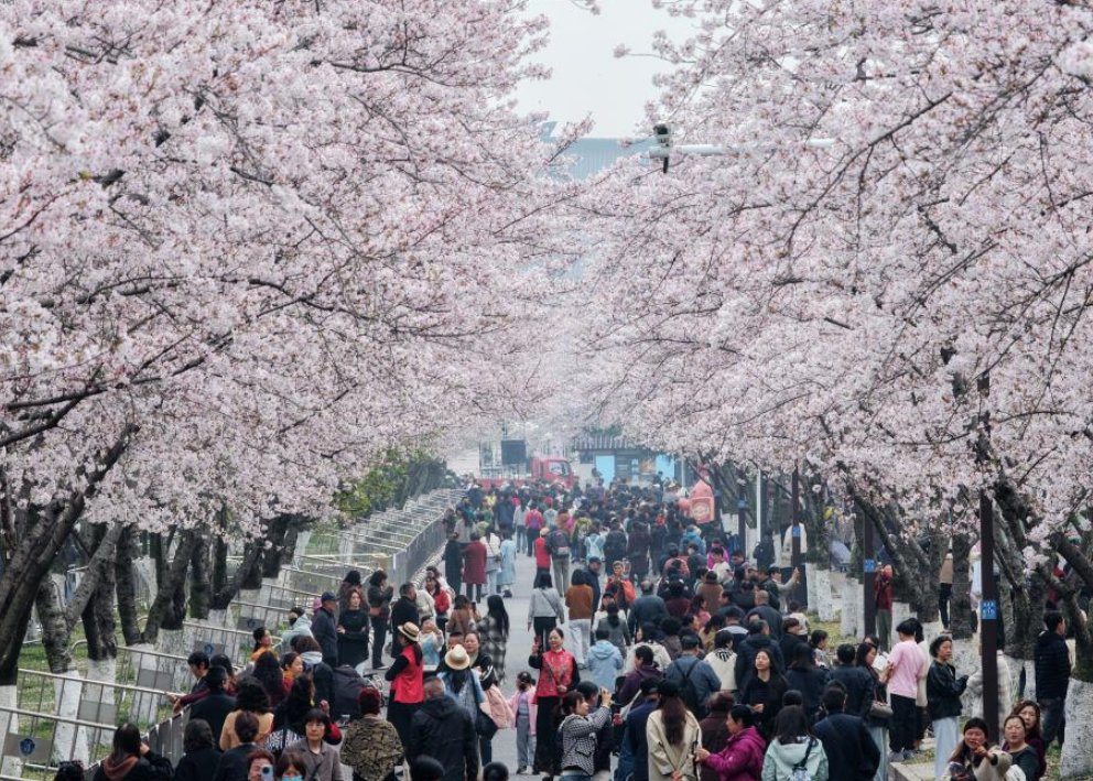 Guangming Daily tweet media