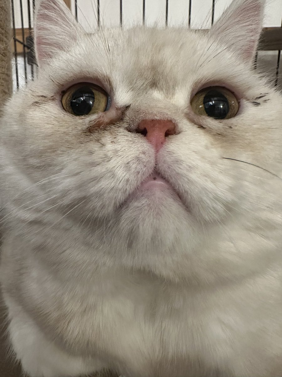 うたまろ@まっしゅふぁむ🍄 tweet media