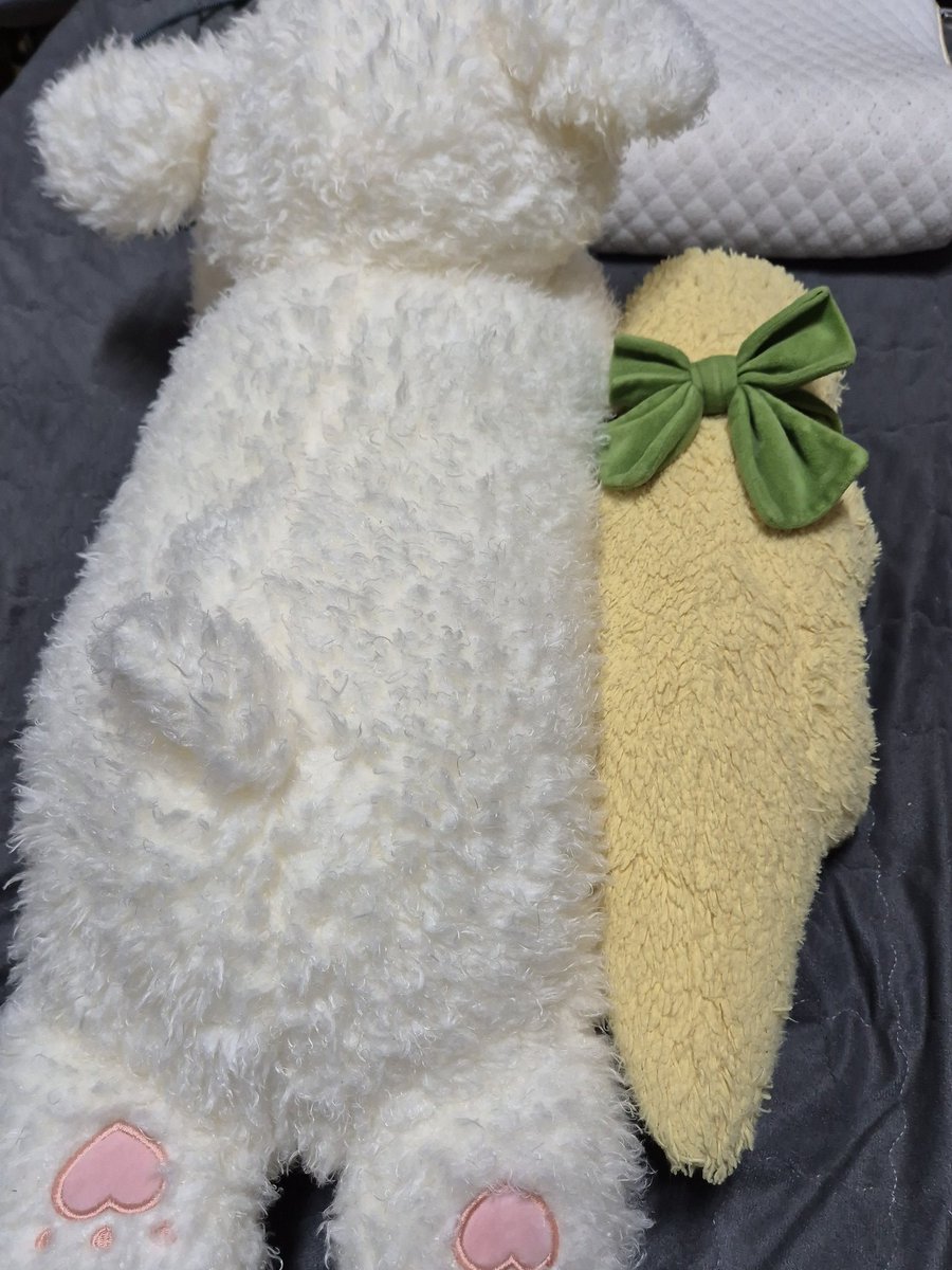 소미아(ソミア) tweet media