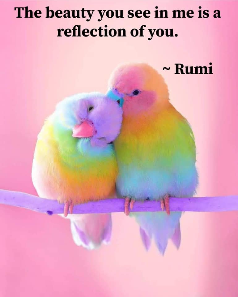 The Mindfulness Meditation Institute tweet media