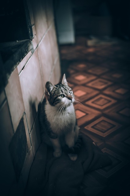 Osiris Ritter tweet media