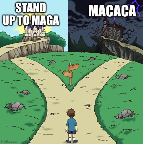 L. Louise Lucas tweet media