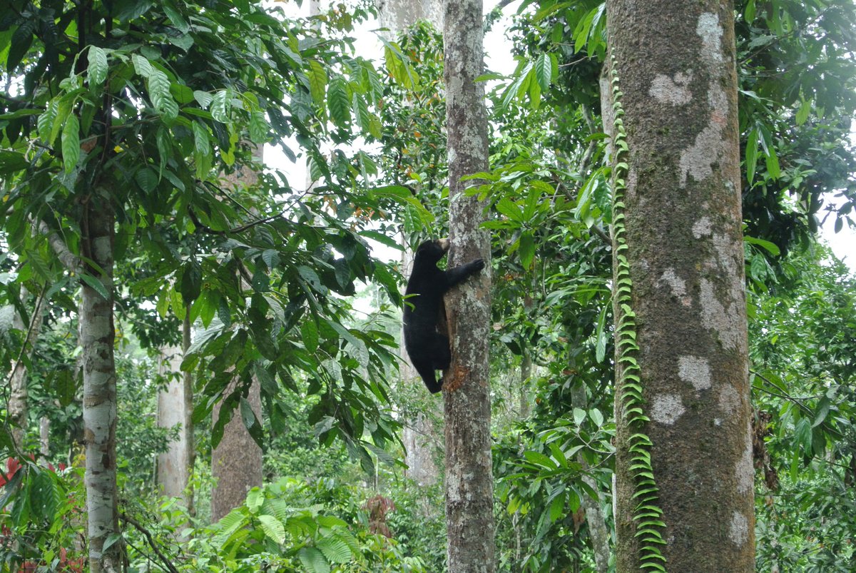 高知県立のいち動物公園【公式】 tweet media