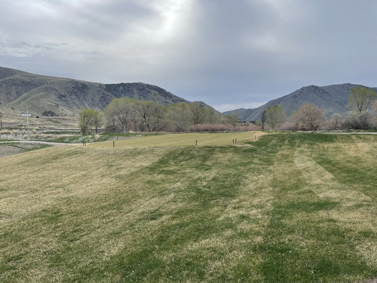 Richard Young tweet media