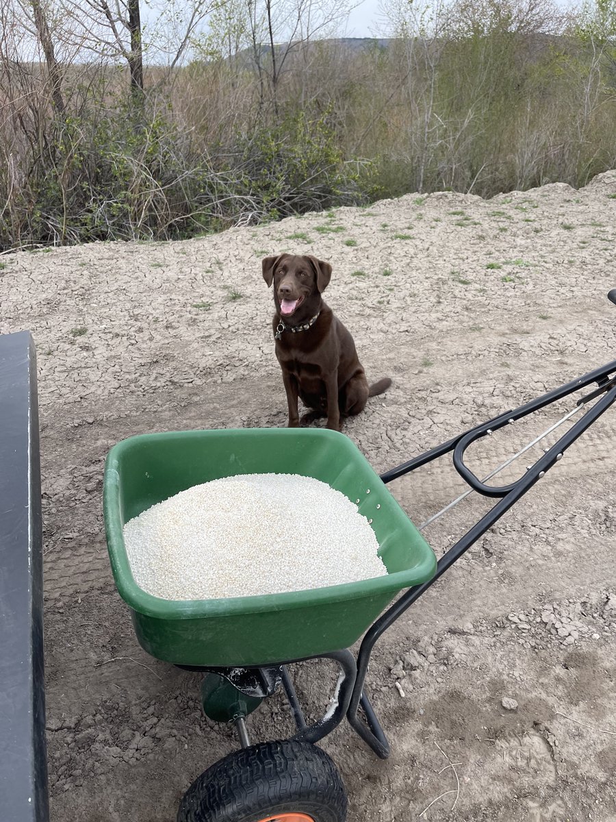 Richard Young tweet media