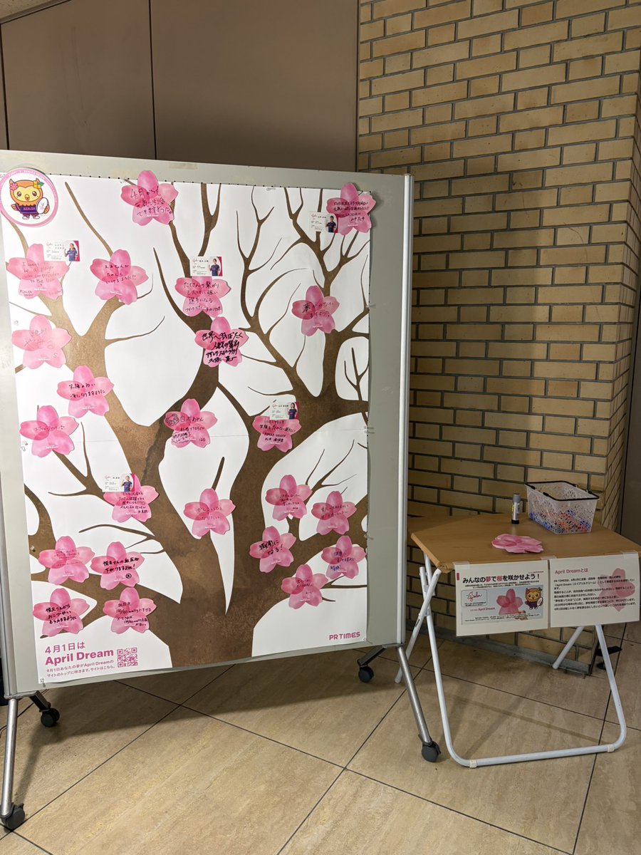 アザレア・スポーツクラブ tweet media