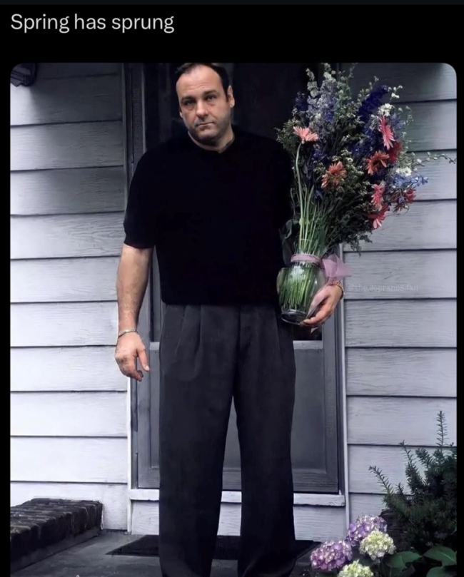 KDirectorate tweet media