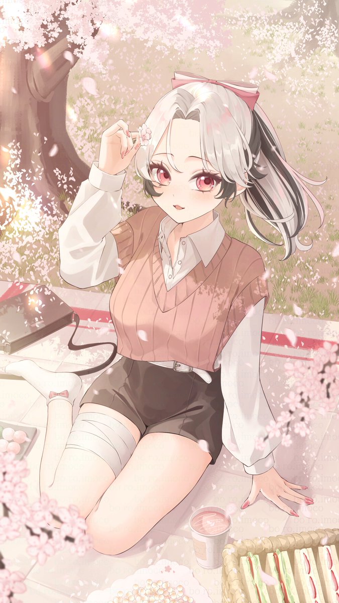 Boro imoco/ぼーろ妹子🎀🍪 tweet media