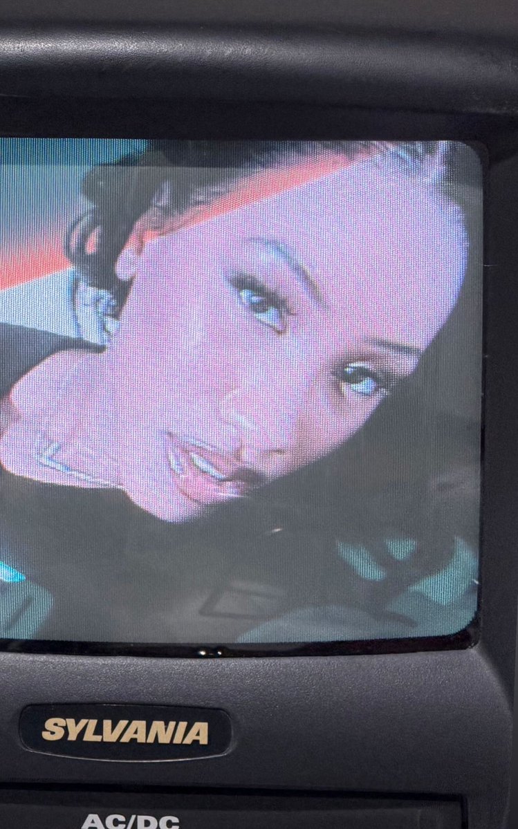 Tina Turtle 🐢 tweet media