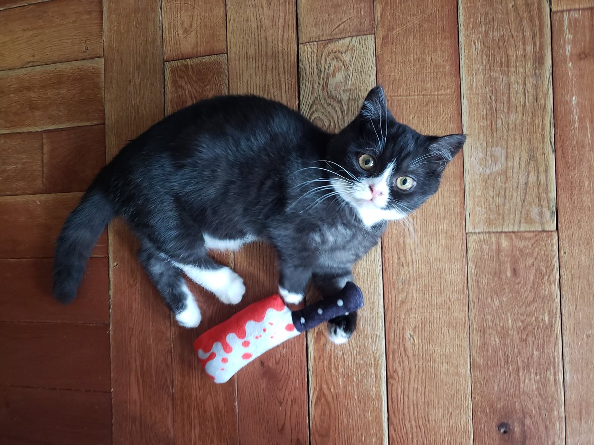 🔥Kelly Allen🌪 tweet media