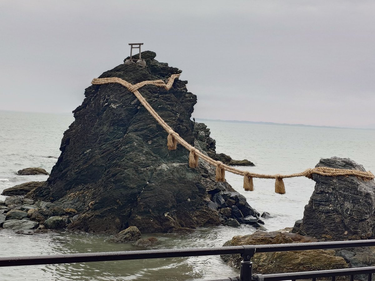 ぶた蔵 tweet media