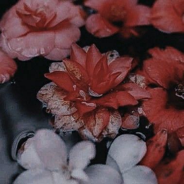 ⋆˚࿔ 𑣲 erica. ༝ tweet media