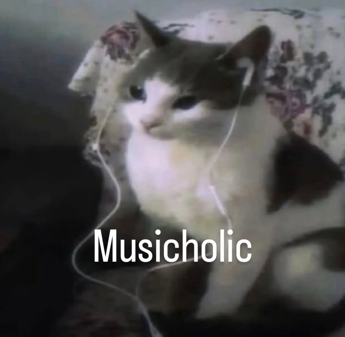 CatMusicHolic token logo