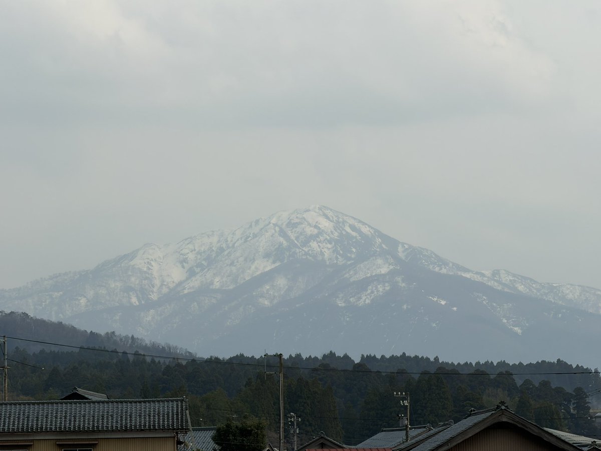 nannirin varokornwatcharakool tweet media