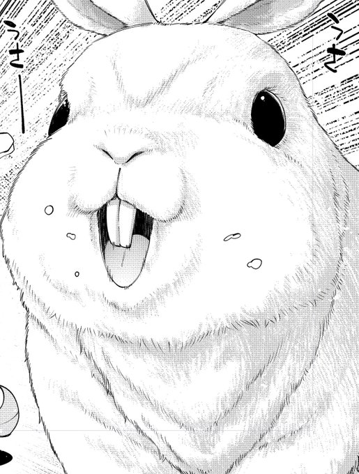 ミミちゃんとドラちゃん真剣に描きました 